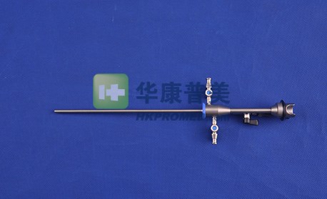 管鞘